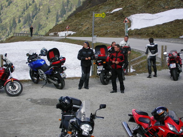 Die Leidenschaft vom Hasen MOTORRAD - 