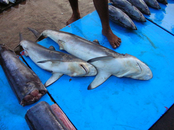 Sri Lanka - 