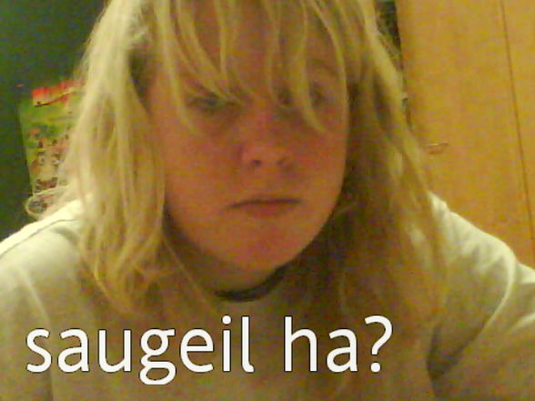 das erste schuljahr in ischl (: - 