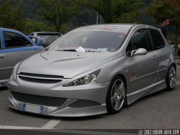 Peugeot 307 - 