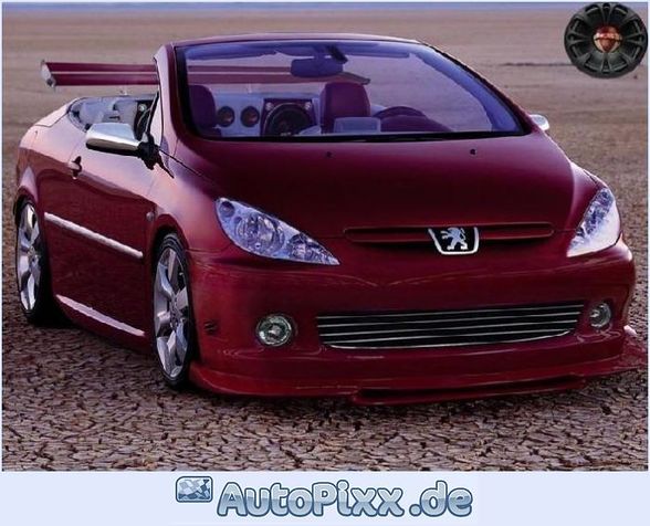 Peugeot 307 - 