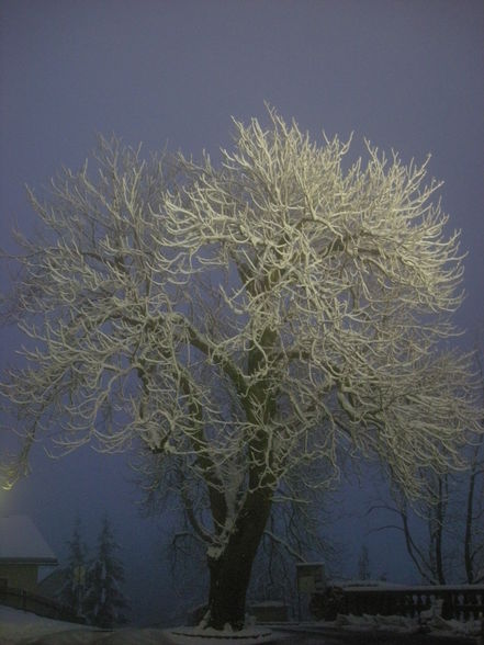 Winterfotos vom Pöstlingberg - 