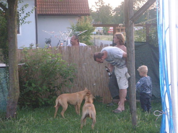 Gulasch beim Katsch! - 