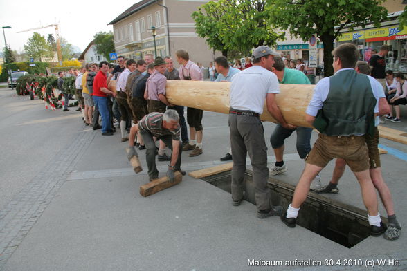 Maibaumaufstöhn - 