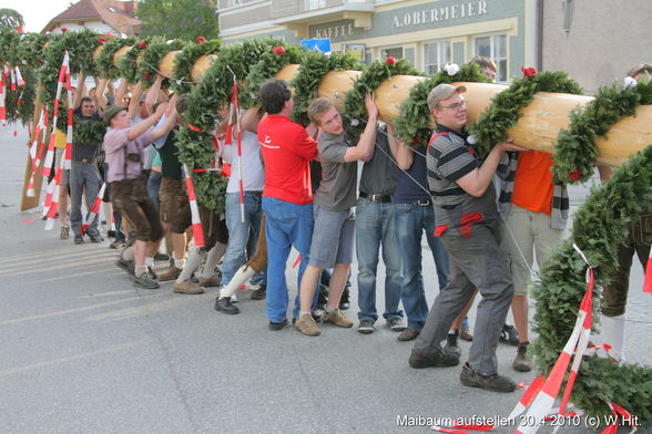 Maibaumaufstöhn - 