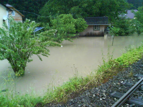 Hochwasser 09 - 