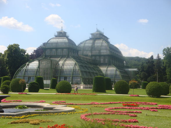 Tiergarten Schönbrunn 2009 - 