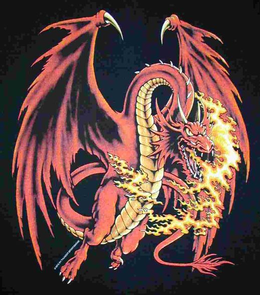 Dragon - 