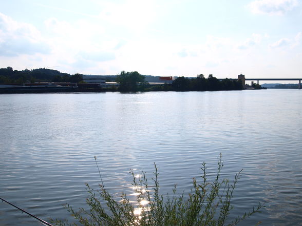 Fischen an der Donau 14.08.09 - 