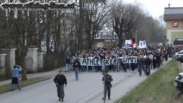 der STOLZ  von Österreich - 