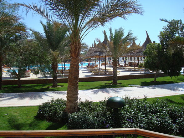 Diplomreise Hurghada - 