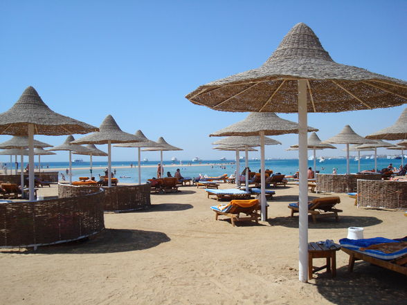 Diplomreise Hurghada - 