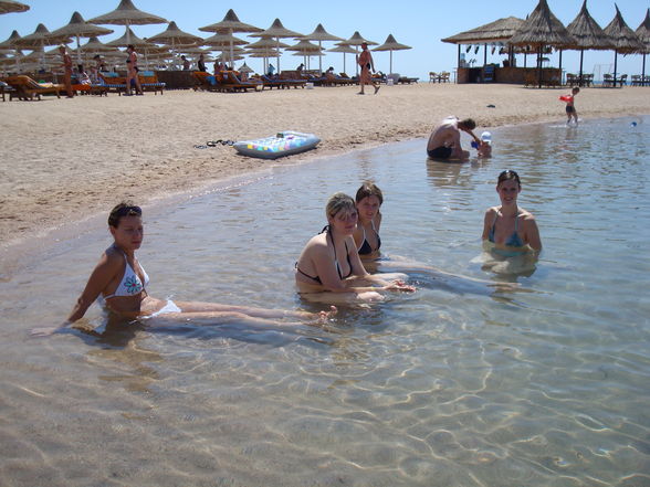 Diplomreise Hurghada - 