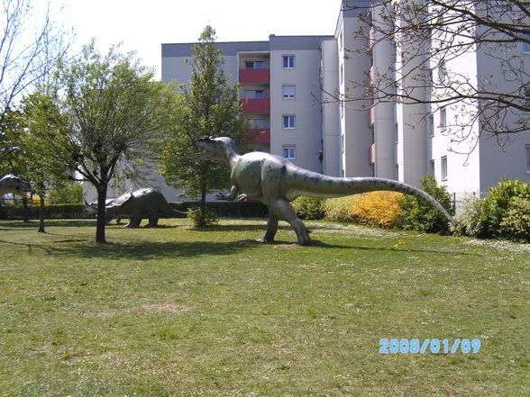 Dinopark - 