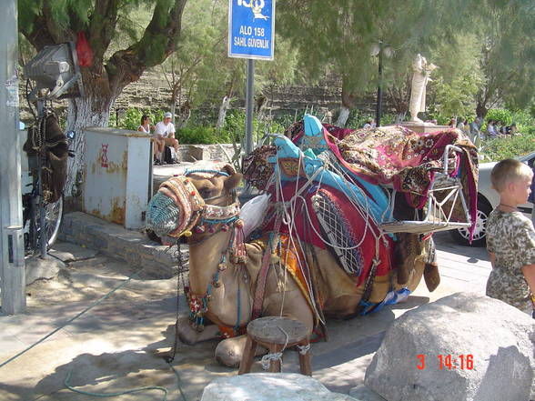 Türkei  ( Bodrum Juli 2005 ) - 