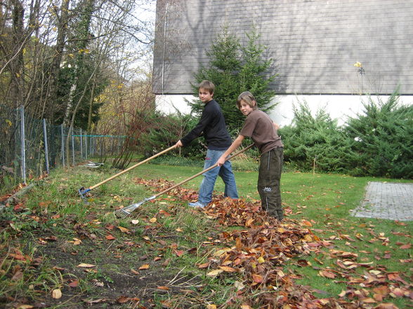 Gartengestaltung 2008 - 