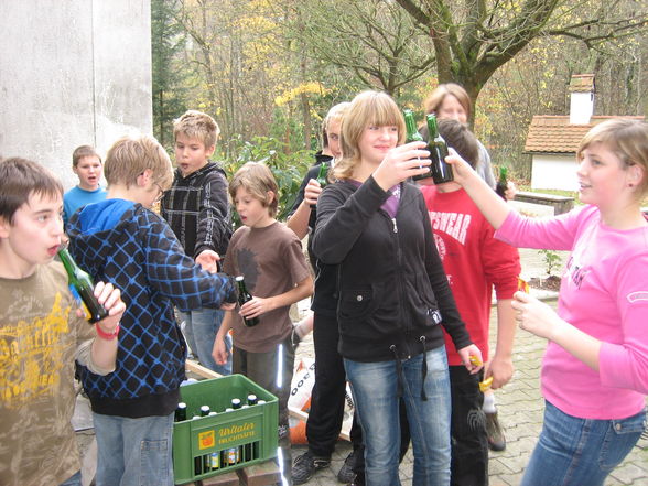 Gartengestaltung 2008 - 