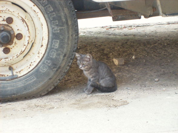 Urlaub in der Türkei 2008 - 