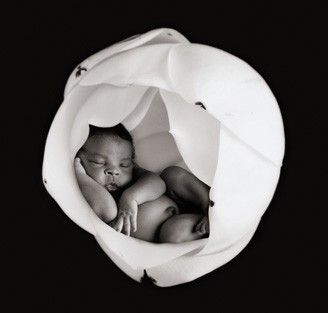 Anne Geddes - 