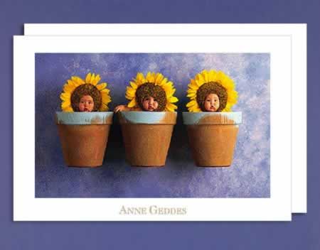 Anne Geddes - 