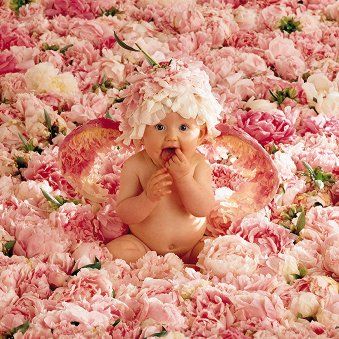 Anne Geddes - 