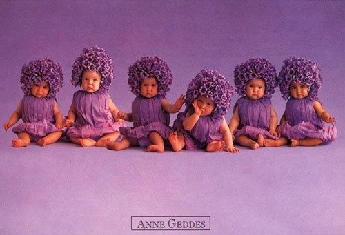 Anne Geddes - 