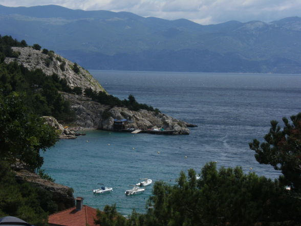 Krk Insel Croatia 2010 - 