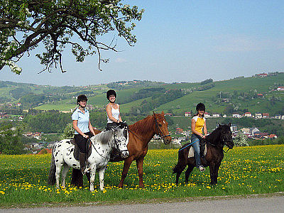 Auf dem Rücken der Pferde - 