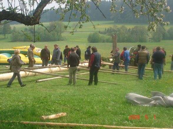 Maibaumaufstellen 2009 - 