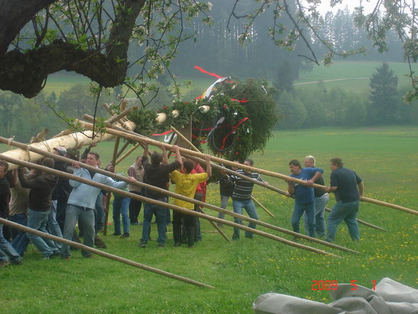 Maibaumaufstellen 2009 - 