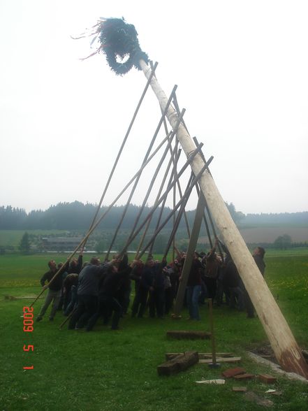 Maibaumaufstellen 2009 - 