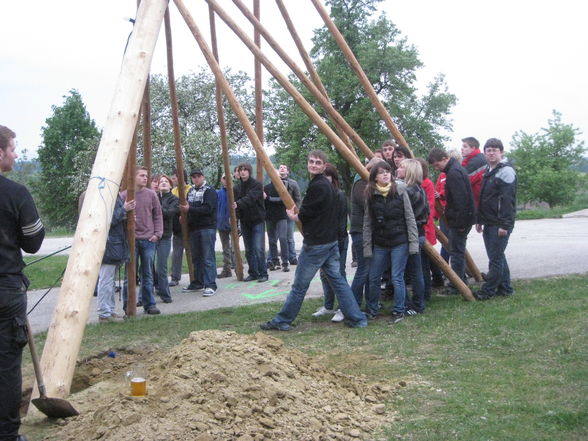 Maibaum aufstellen - 