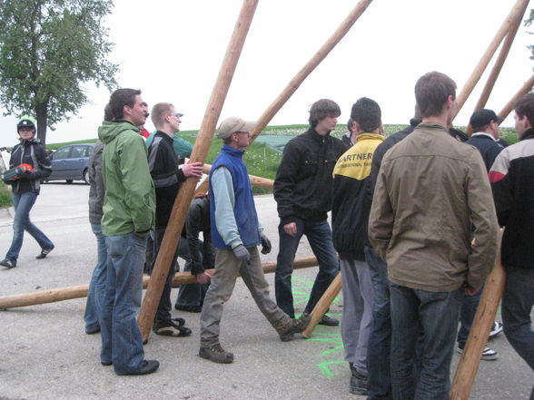 Maibaum aufstellen - 