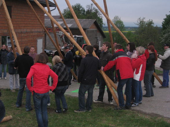 Maibaum aufstellen - 