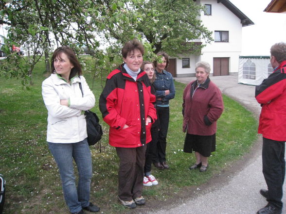 Maibaum aufstellen - 