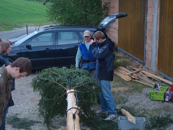 Maibaum aufstellen - 