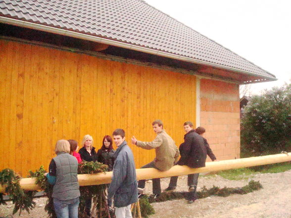 Maibaum aufstellen - 