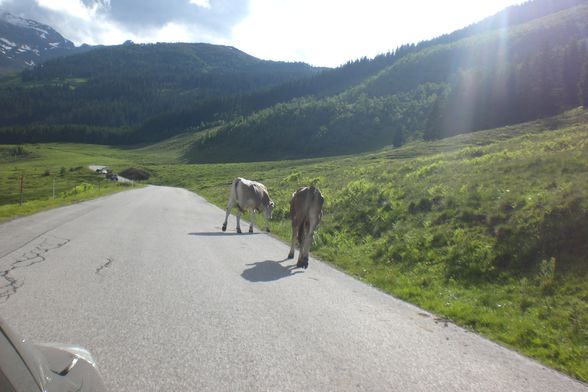 Fügen/Tirol 09 - 