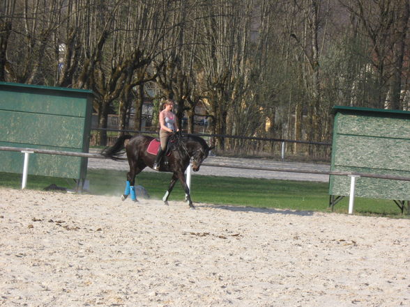 Beim ReiTeN - 