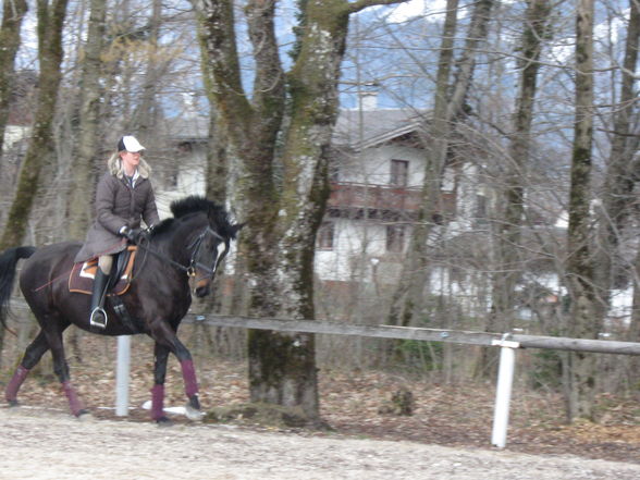 Beim ReiTeN - 