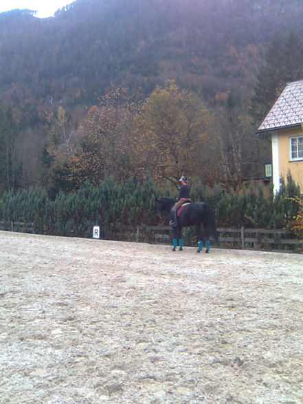 Beim ReiTeN - 