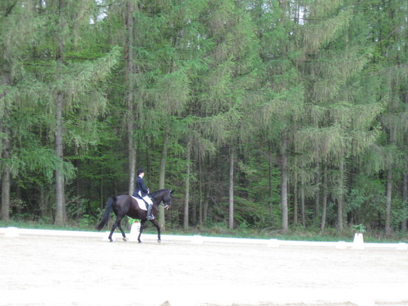 Beim ReiTeN - 