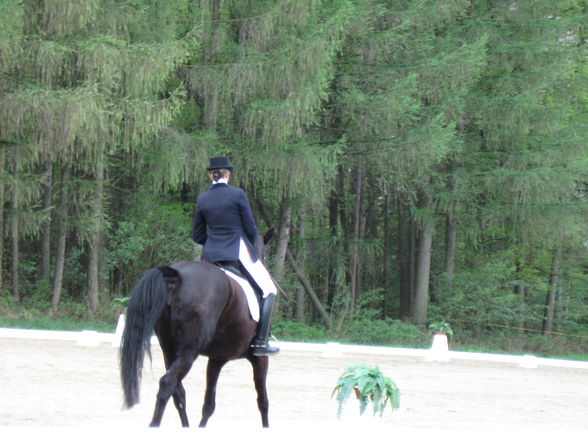 Beim ReiTeN - 