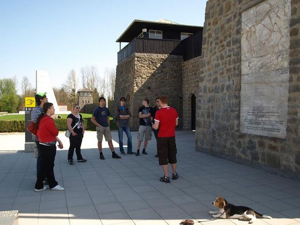 aktionstag KZ Mauthausen - 