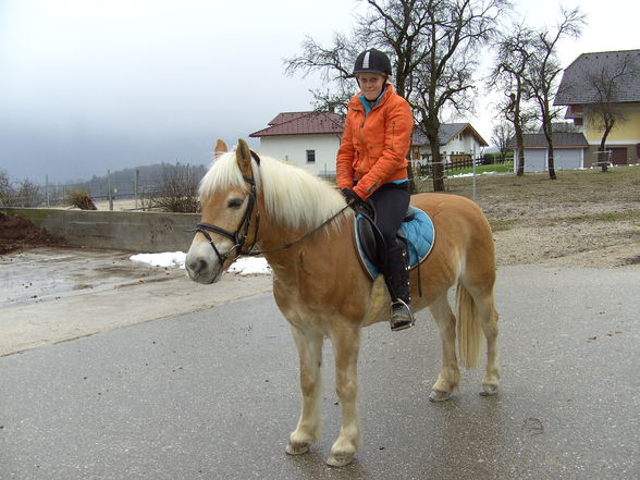 Mein aller liebster ( Nero mein Pferd)!! - 