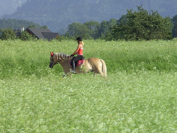 Mein aller liebster ( Nero mein Pferd)!! - 