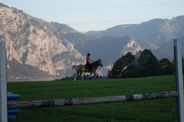 Mein aller liebster ( Nero mein Pferd)!! - 