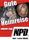 geile bilder - 