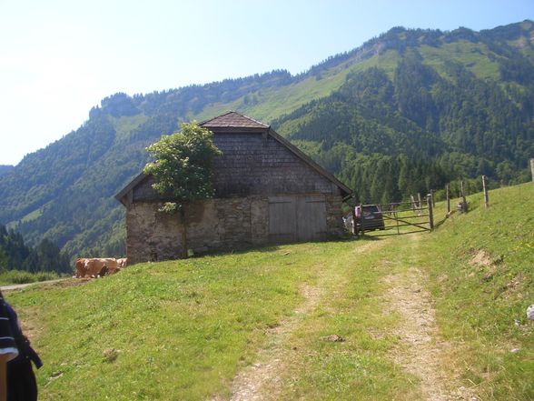 Am Wolfgangsee mit der ganzen Truppe - 