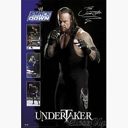 THE UNDERTAKER - 